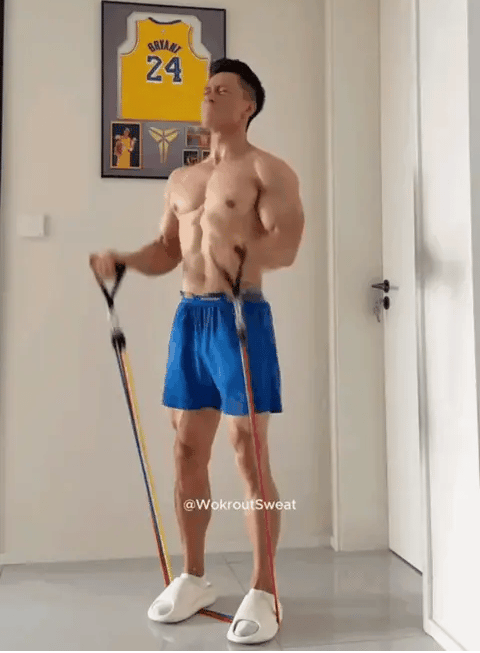 VirexaCart™ HomeGym Pro Bundle
